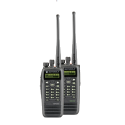 DGP6150